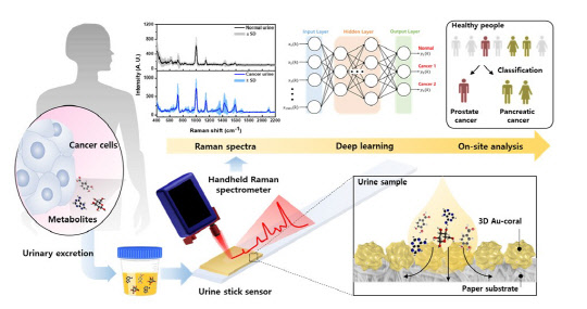 한국재료연구원은 소변 내 대사체의 광신호를 증폭해 암을 진단할 수 있는 '스트립형 소변 센서'를 개발했다. 사진은 소변 센서의 모식도  재료연 제공